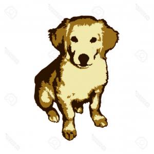 300x300 Photostock Vector Funny Cartoon Golden Retriever Drawing Cute Pet