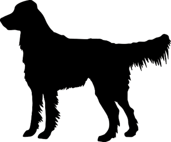 600x497 Puppy, Drawing, Dog, Transparent Png Image Clipart Free Download