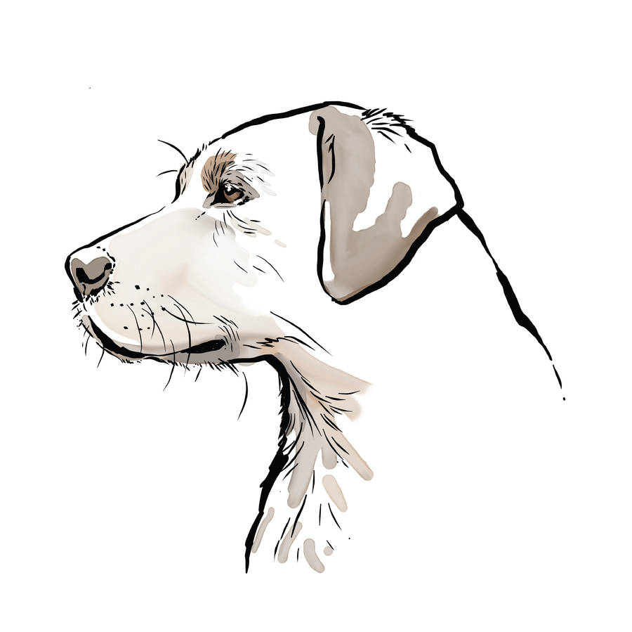 900x899 Labrador Print, Yellow, Chocolate, Black Or Fox Red