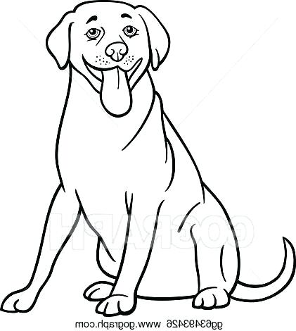 421x470 Labrador Retriever Coloring Pages