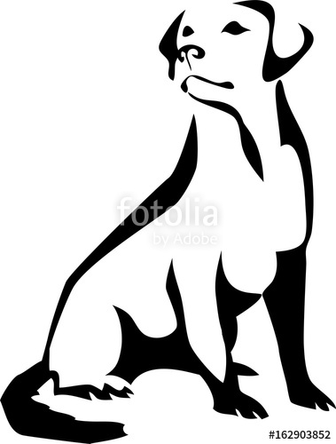 379x500 Labrador Retriever Sitting Stock Image And Royalty Free Vector