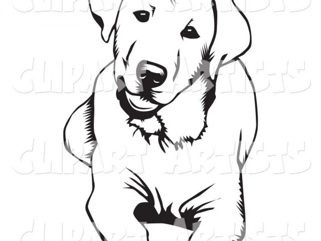 640x480 Free Labrador Clipart, Download Free Clip Art