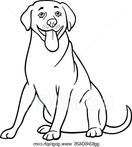 421x470 Labrador Coloring Pages Retriever