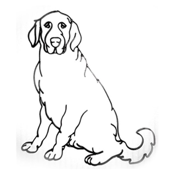 600x600 World Unique Imports Labrador Golden Retriever Dog Wall