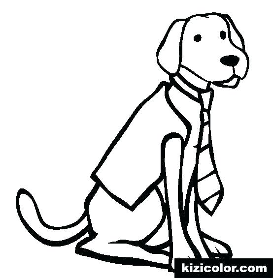 554x565 Free Printable Labrador Coloring Pages