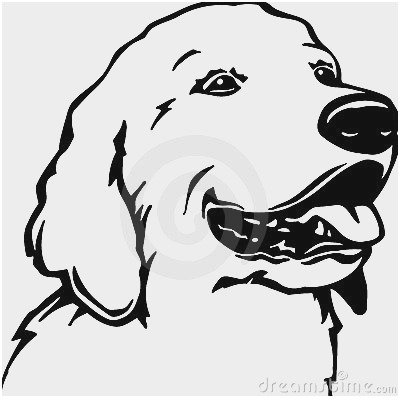 400x398 Golden Retriever Coloring