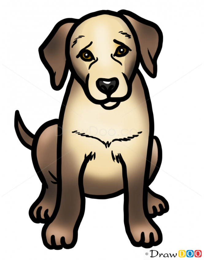 665x847 How To Draw Puppy, Labrador Retriever, Dogs And Puppies Artsy