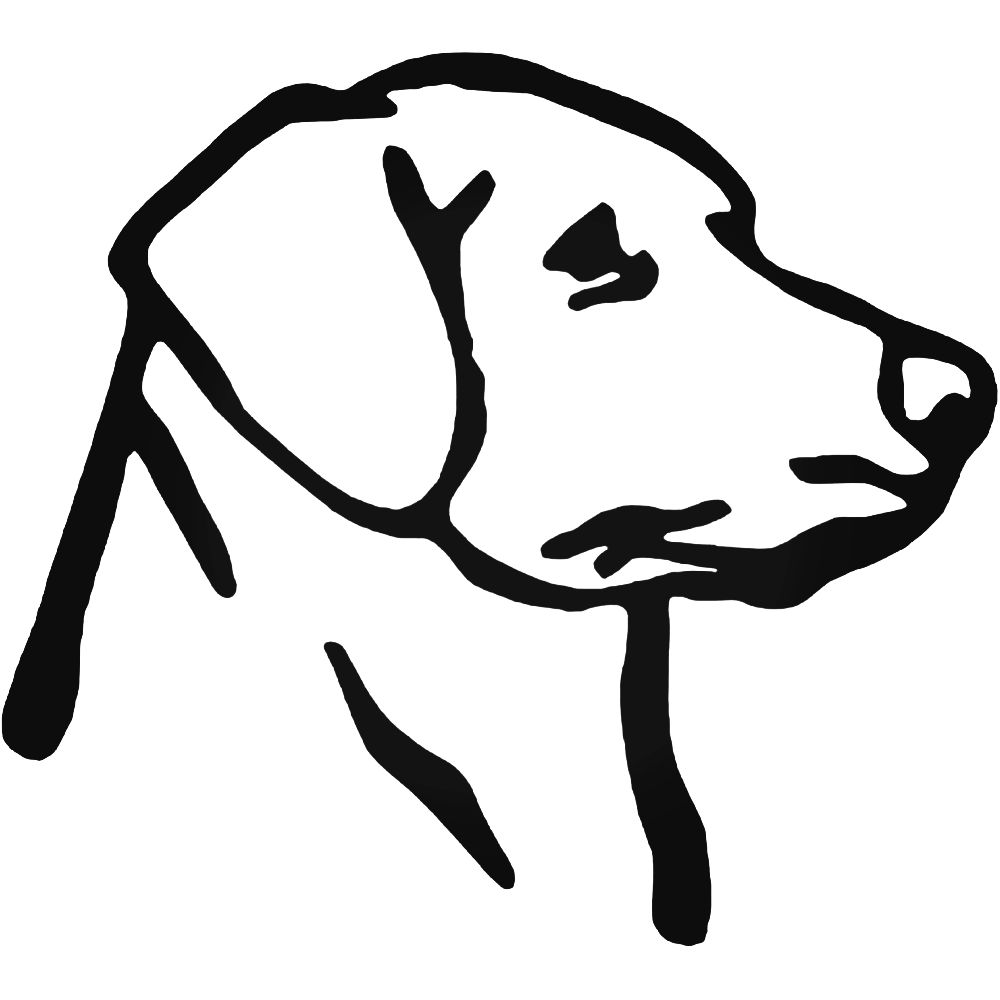 1000x1000 Labrador Retriever Decal