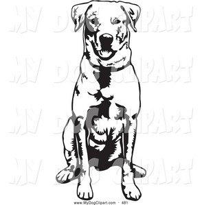 294x299 Labrador Retriever Clipart Face