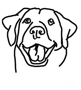 271x300 Labrador Retriever Drawings