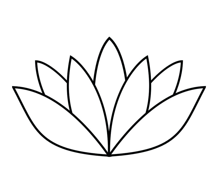 900x800 Flower Drawing Outline Vector Drawing With Outline Lotus Flower