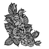 160x160 Rose Lace Vector