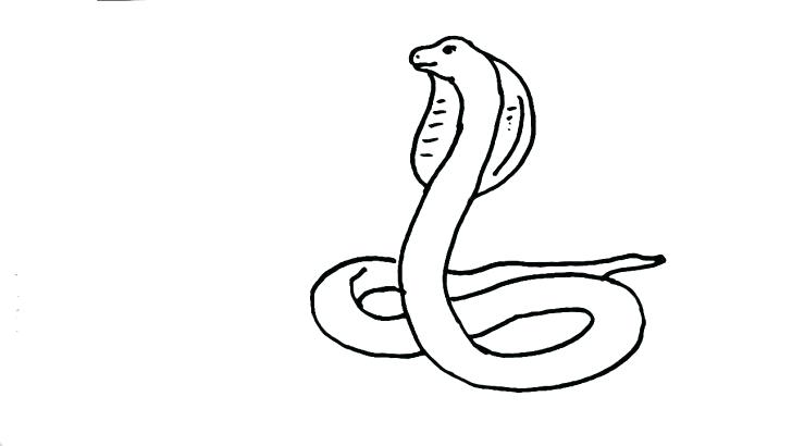 728x410 Easy Snake Drawings Draw King Cobra Snake Easy Snake Drawing Video