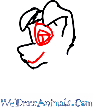 300x350 How To Draw Scamp From Lady And The Tramp