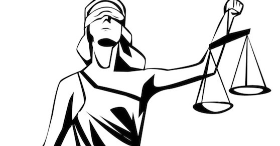 558x292 News From Nammie Parashat Shoftim