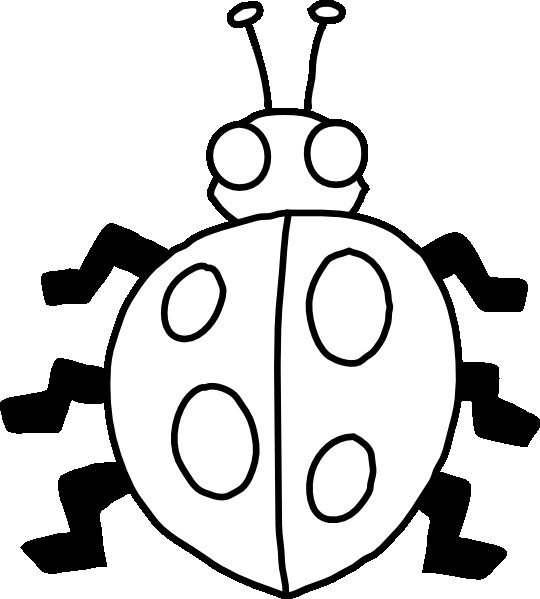 540x599 Ladybird Beetle Drawing Clip Art Black Ladybug Cliparts Png