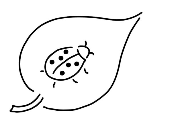 600x423 Ladybird Drawings Fine Art America