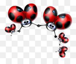 260x220 Ladybird Beetle Drawing Clip Art