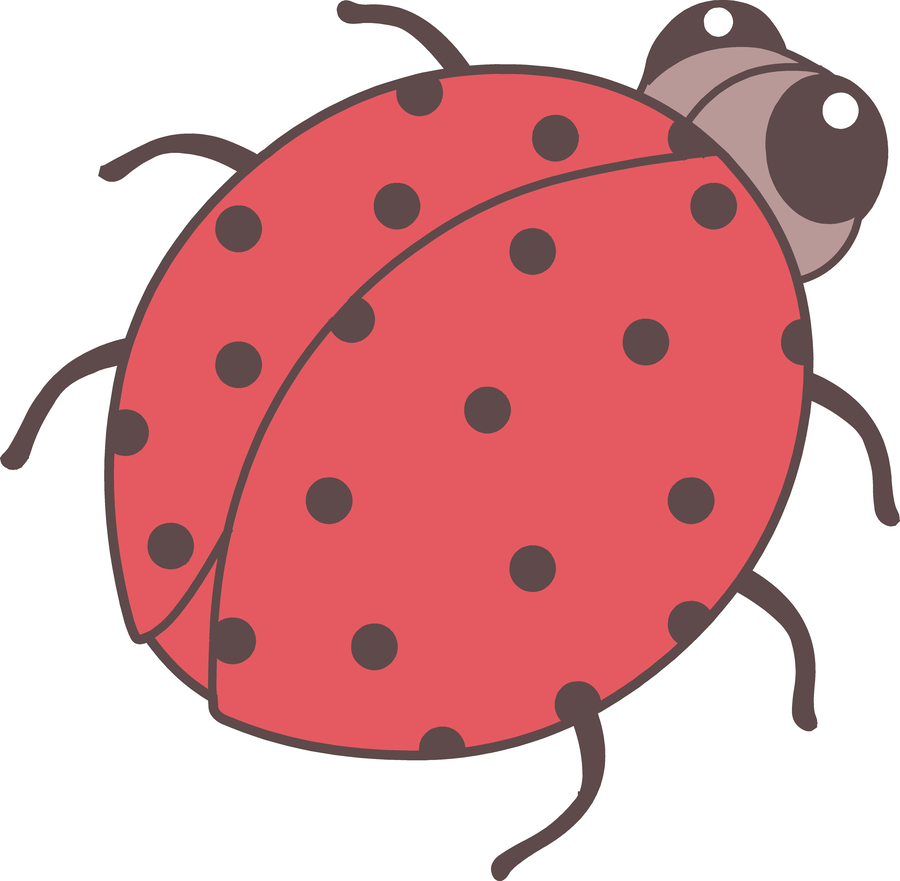 900x881 Drawing, Cartoon, Ladybird, Transparent Png Image Clipart Free