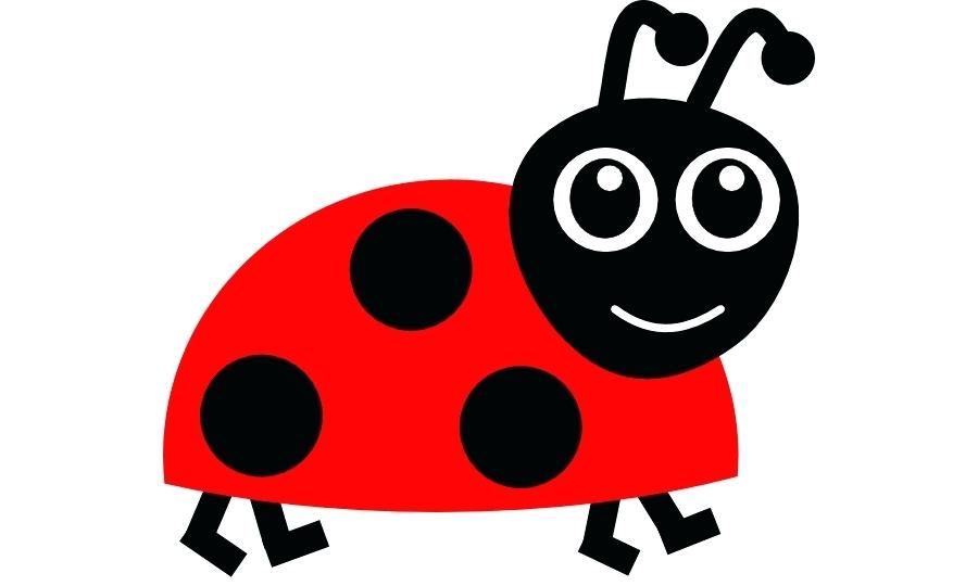900x540 How To Draw A Ladybug Easy Draw Ladybug Easy