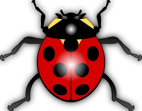 600x468 Jilagan Ladybug Clip Art Free Vector In Open Office Drawing