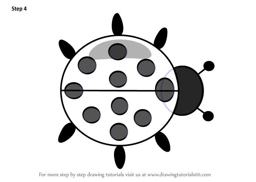 848x602 Learn How To Draw Ladybug Cartoon