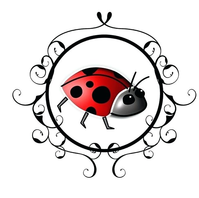 640x636 Drawing A Ladybug