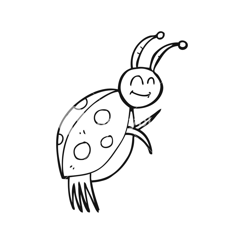 1000x1000 Freehand Drawn Black And White Cartoon Ladybug Royalty Free Stock
