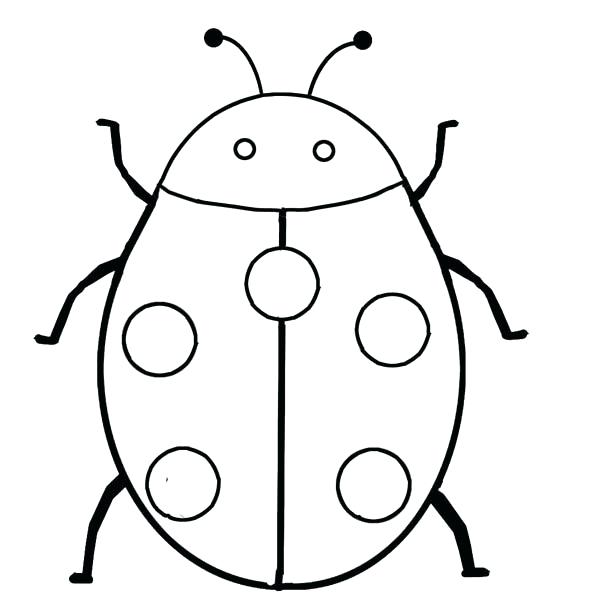 600x600 Ladybug Drawing