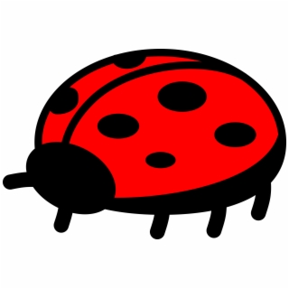 320x320 Hd Drawing Ladybug Small