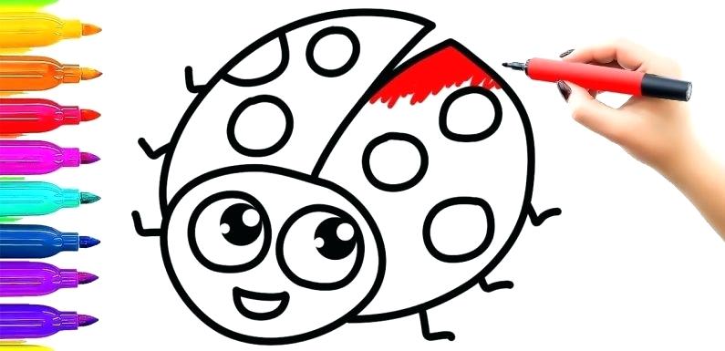 795x385 How To Draw A Lady Bug How To Draw A Ladybug Step
