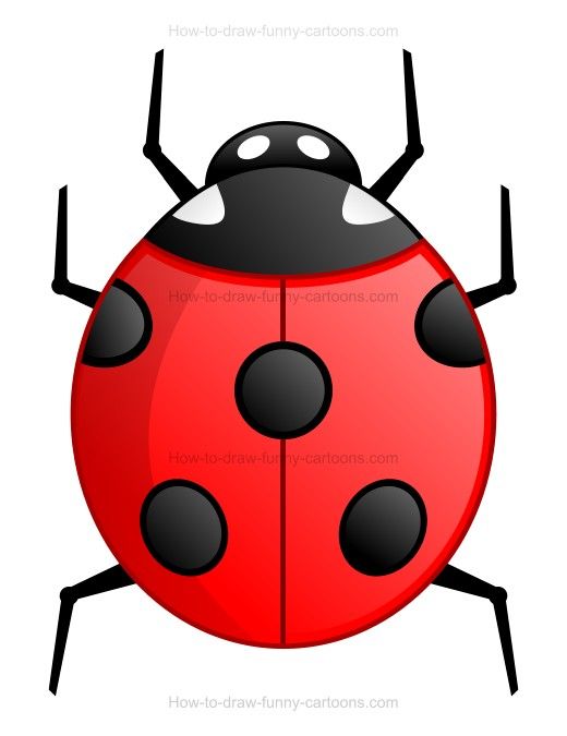 520x675 How To Draw A Cartoon Ladybug Misc