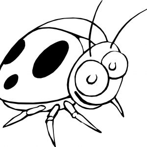 300x300 Ladybug Drawing New Ladybug Drawing At Getdrawings