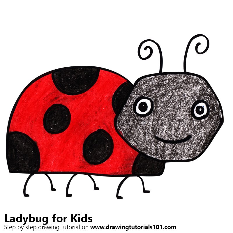 800x800 Learn How To Draw A Ladybug For Kids