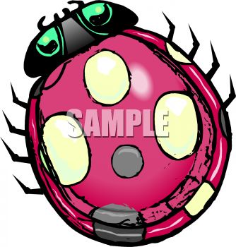 334x350 Realistic Ladybug Drawing