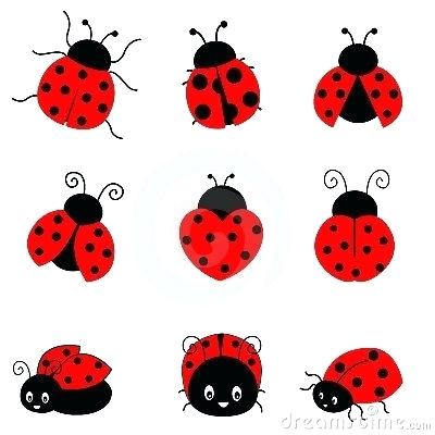 400x400 Drawing A Ladybug