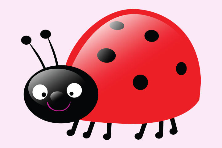 Ladybug Drawing For Kids