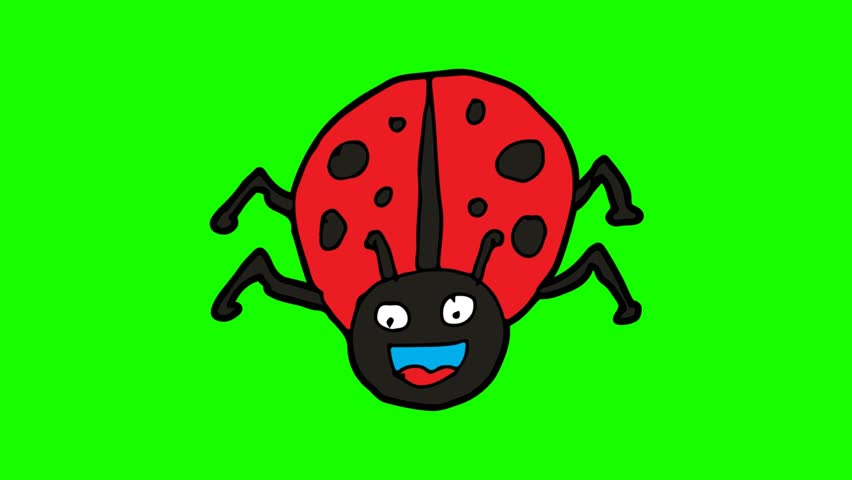 852x480 Ladybug Draw Stock Video Footage