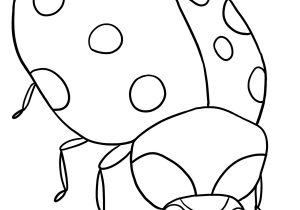 300x210 Ladybug Drawing For Kids Child Drawings Of Ladybug