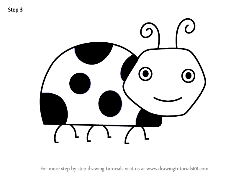 844x598 Learn How To Draw A Ladybug For Kids