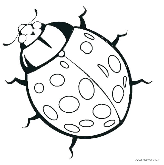 640x646 Ladybug Coloring Pages For Toddlers