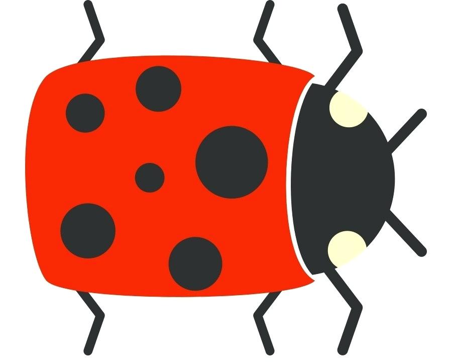 900x720 Simple Bug Drawings