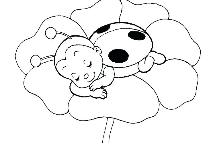 750x500 Coloring Pages Ladybug Coloring Pages Insect Free Colouring Sheets