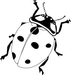 236x249 Ladybug Outline Pumpkin Clipart Inspirational Bug Line Drawing