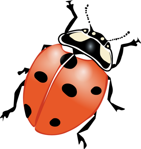 473x500 Ladybug Vector Drawing
