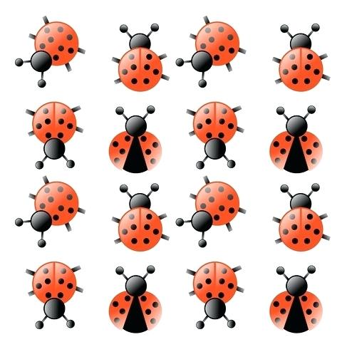 480x480 Drawing Of Ladybug
