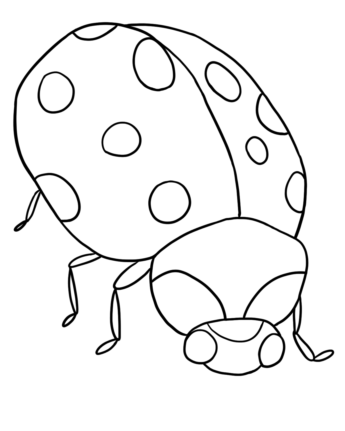 Ladybug Drawing Step By Step