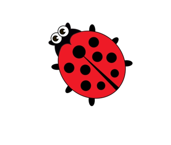 554x468 How To Draw A Ladybug Step