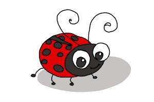 300x200 How To Draw A Ladybug For Kids On Ladybug Pictures For Kids
