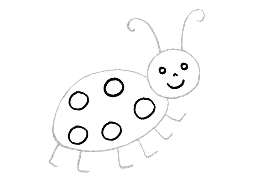 850x567 How To Draw Ladybug Step